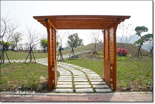 Butterfly Bridge (50)