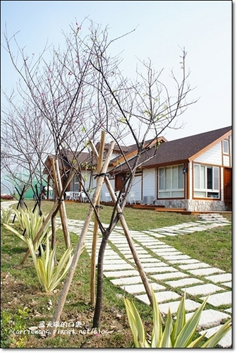 Butterfly Bridge (51)