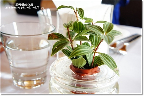 Butterfly Bridge (23)