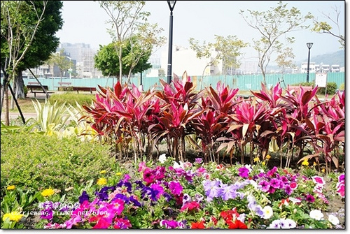 Butterfly Bridge (45)