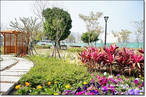 Butterfly Bridge (53)