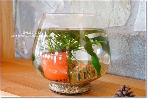 Butterfly Bridge (14)