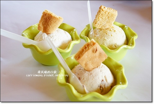 Butterfly Bridge (41)