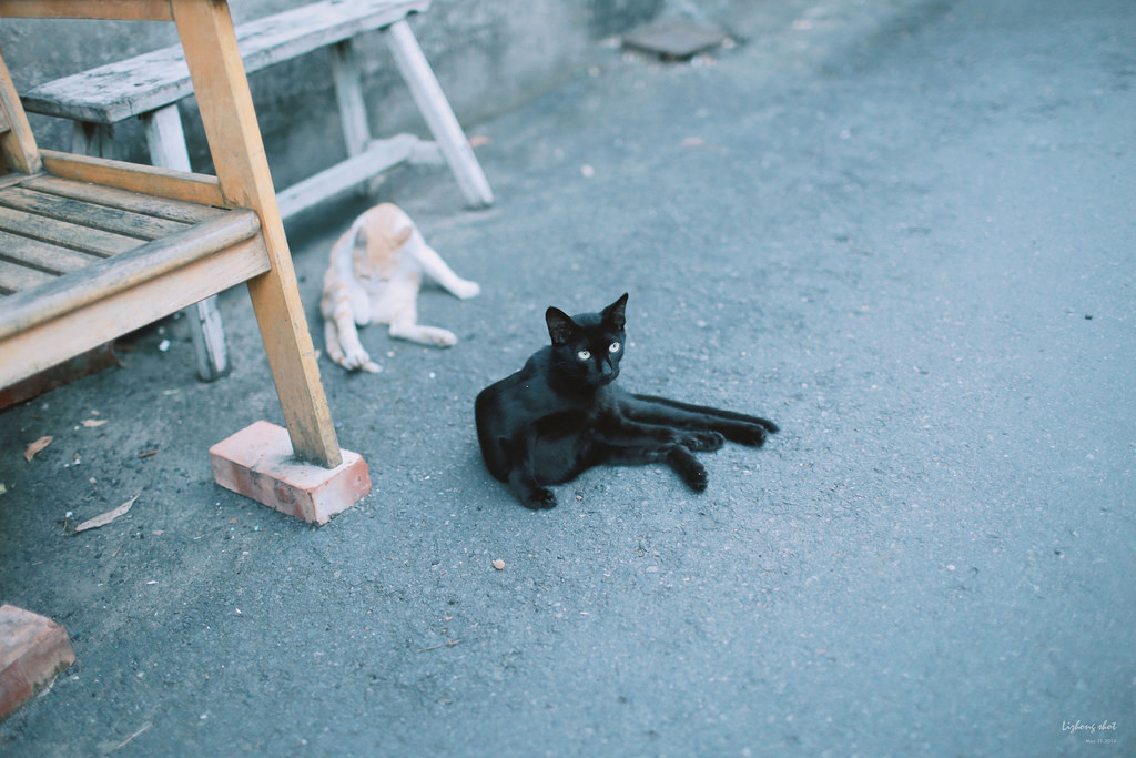 府城兩日小旅行,NO.2