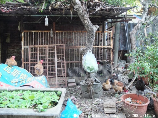 復興老兵文化園區:【旅行遊記。台南永康區】復興老兵文化園區。大面積老眷村活化藝術 大玩彩繪也玩歲月