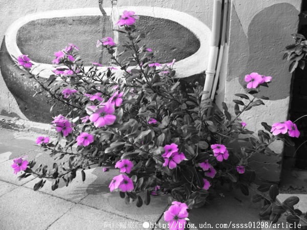 復興老兵文化園區:【旅行遊記。台南永康區】復興老兵文化園區。大面積老眷村活化藝術 大玩彩繪也玩歲月