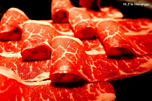 畏公長生麻辣鍋 (24)