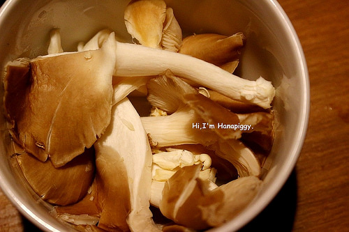 畏公長生麻辣鍋 (40)