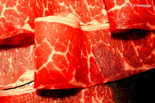 畏公長生麻辣鍋 (25)