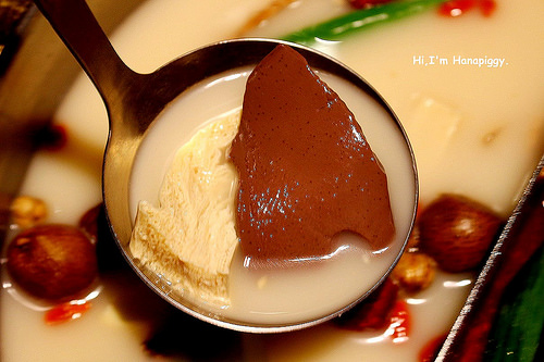 畏公長生麻辣鍋 (17)