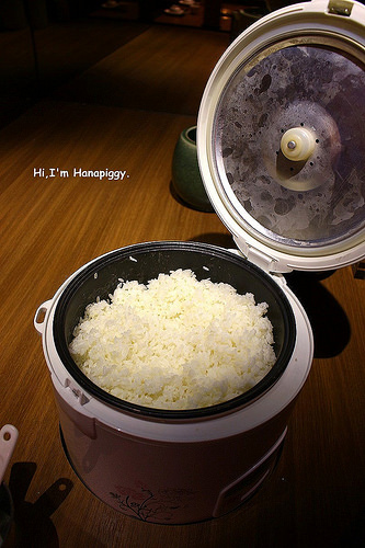 畏公長生麻辣鍋 (5)