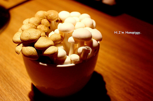 畏公長生麻辣鍋 (22)