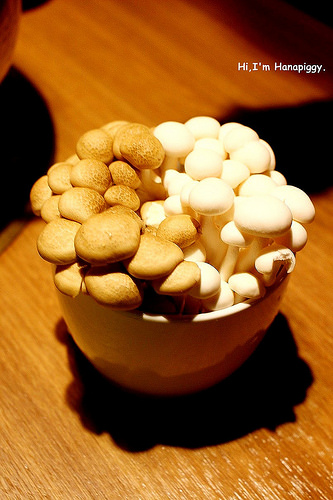 畏公長生麻辣鍋 (18)