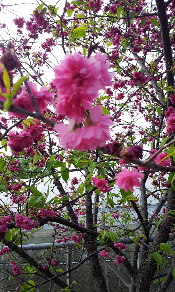 C360_2014-02-28-14-05-57-722