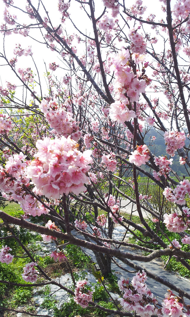 C360_2014-02-28-12-33-22-526_org