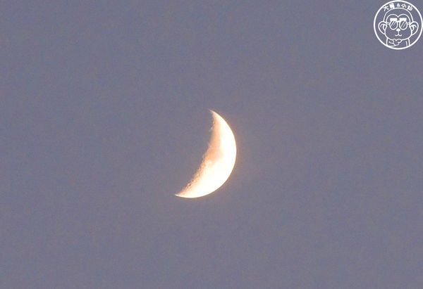 滿美吐司部：呷飽祙【新竹･滿美吐司部】紅到翻過去的宵夜美食