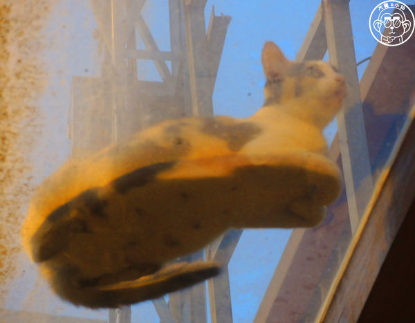 滿美吐司部：呷飽祙【新竹･滿美吐司部】紅到翻過去的宵夜美食