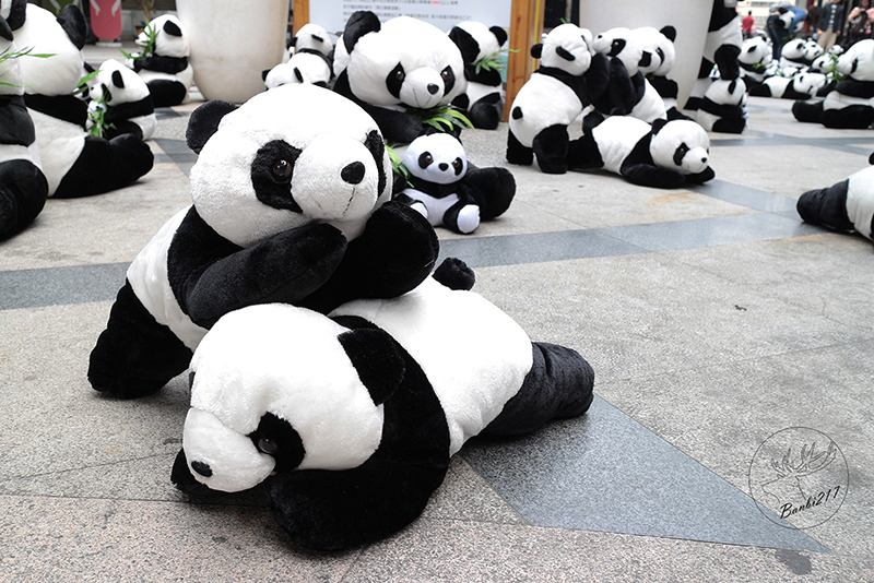 Banbi217 美食旅遊 :台中熊貓裝置藝術展,適合親子的可愛熊貓娃娃(台中一中街)[展期至2014.4.6]