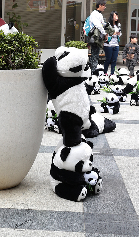 Banbi217 美食旅遊 :台中熊貓裝置藝術展,適合親子的可愛熊貓娃娃(台中一中街)[展期至2014.4.6]