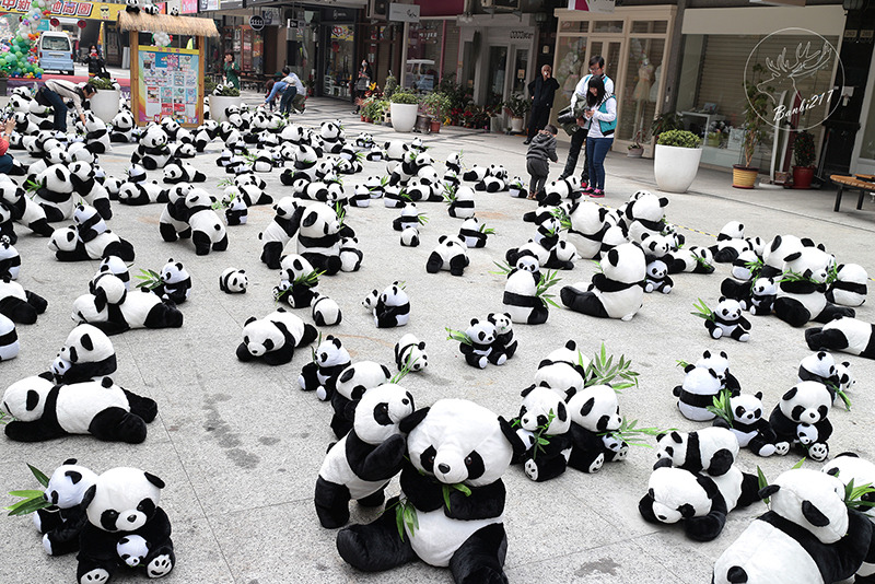 Banbi217 美食旅遊 :台中熊貓裝置藝術展,適合親子的可愛熊貓娃娃(台中一中街)[展期至2014.4.6]