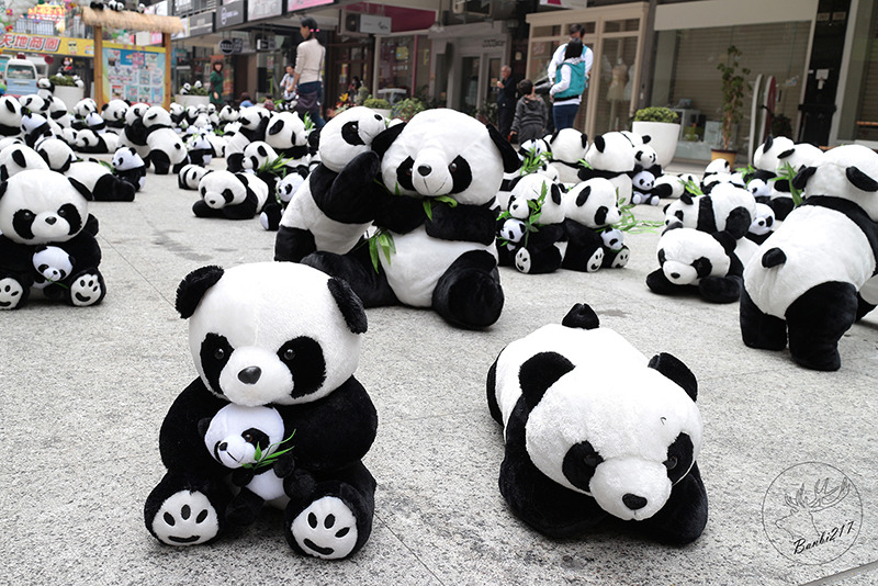 Banbi217 美食旅遊 :台中熊貓裝置藝術展,適合親子的可愛熊貓娃娃(台中一中街)[展期至2014.4.6]