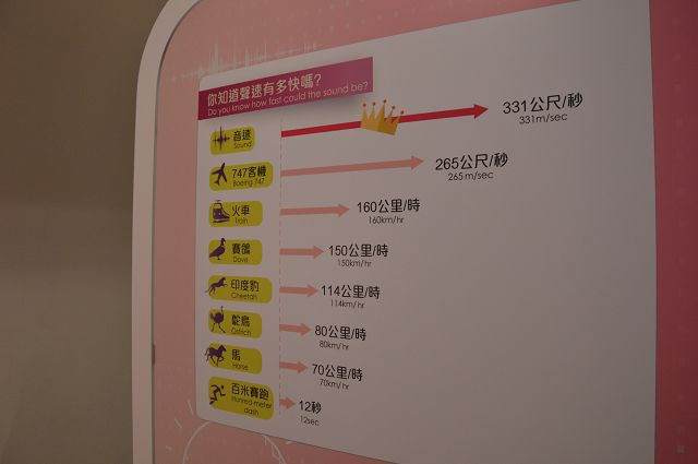 音波觀光工廠14