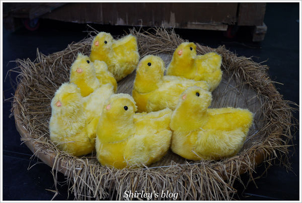 紙風車台灣動物昆蟲創意展(明倫國小)：台北‧紙風車台灣昆蟲創意展