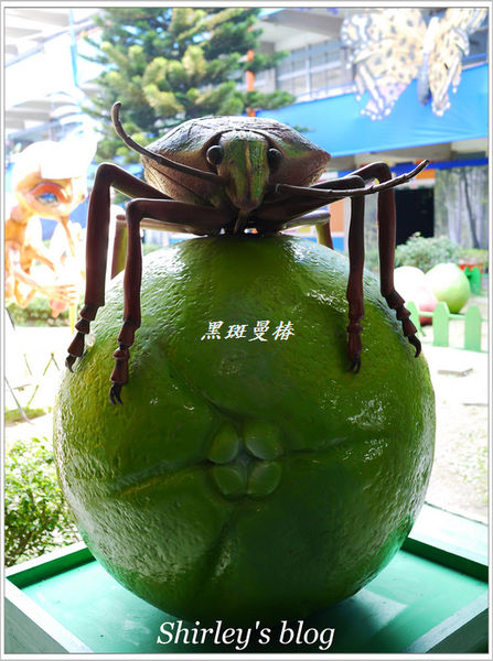 紙風車台灣動物昆蟲創意展(明倫國小)：台北‧紙風車台灣昆蟲創意展