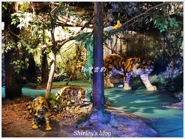 紙風車台灣動物昆蟲創意展(明倫國小)：台北‧紙風車台灣昆蟲創意展