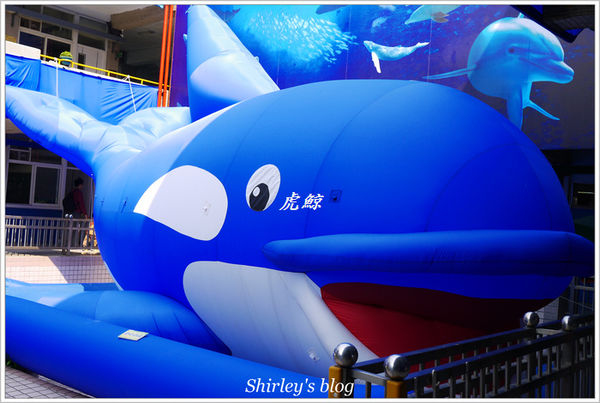 紙風車台灣動物昆蟲創意展(明倫國小)：台北‧紙風車台灣昆蟲創意展