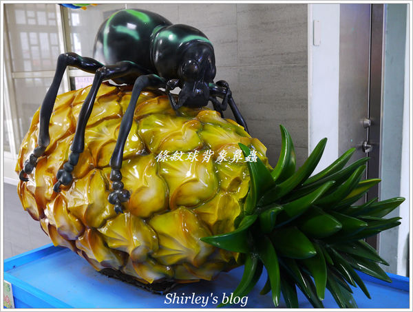 紙風車台灣動物昆蟲創意展(明倫國小)：台北‧紙風車台灣昆蟲創意展