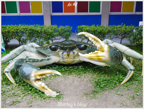 紙風車台灣動物昆蟲創意展(明倫國小)：台北‧紙風車台灣昆蟲創意展