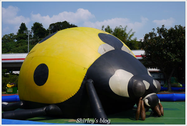 紙風車台灣動物昆蟲創意展(明倫國小)：台北‧紙風車台灣昆蟲創意展