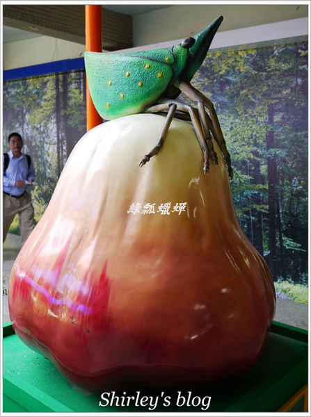 紙風車台灣動物昆蟲創意展(明倫國小)：台北‧紙風車台灣昆蟲創意展