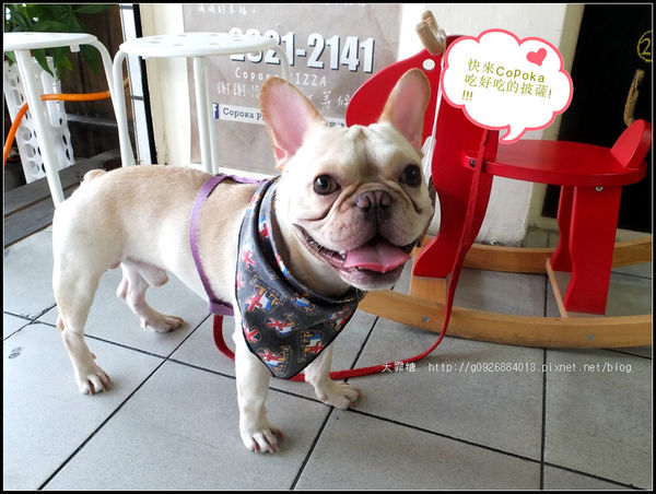 DSCF5352_副本_副本