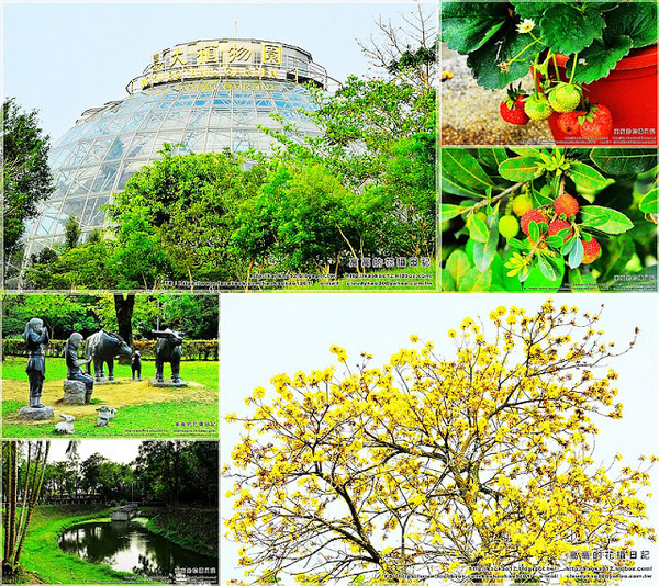 嘉義大學蘭潭校區：【嘉義】東區。國立嘉義大學 蘭潭校區