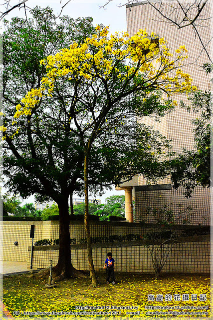 嘉義大學蘭潭校區：【嘉義】東區。國立嘉義大學 蘭潭校區