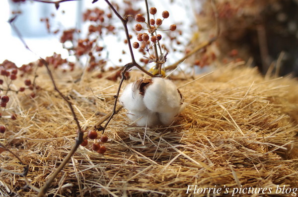 敲敲咖啡 KNOCK KAFE:台北大安區美食~敲敲咖啡KNOCK KAFE~來塊爆漿檸檬塔吧!
