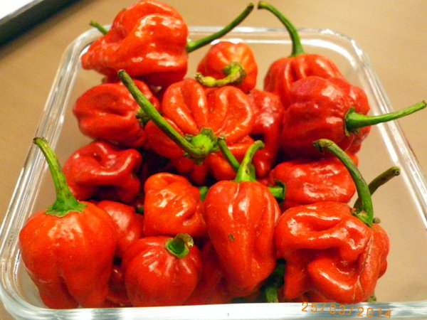 burger talks 淘客漢堡:『Burger Talks 淘客漢堡』挑戰鬼椒的香辣而來