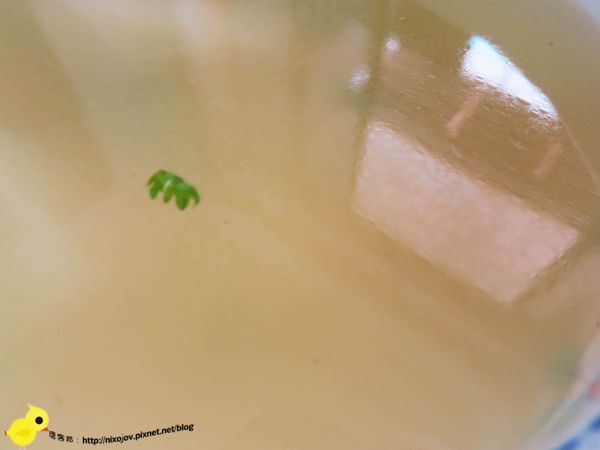 新莊在地美食-袁家埔里大肉圓、碗糕