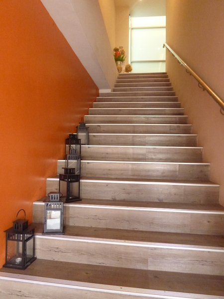 IF HOUSE: 【新竹寶山】有點悲情的下午茶,一小時後才喝得到的紅寶石-IF HOUSE