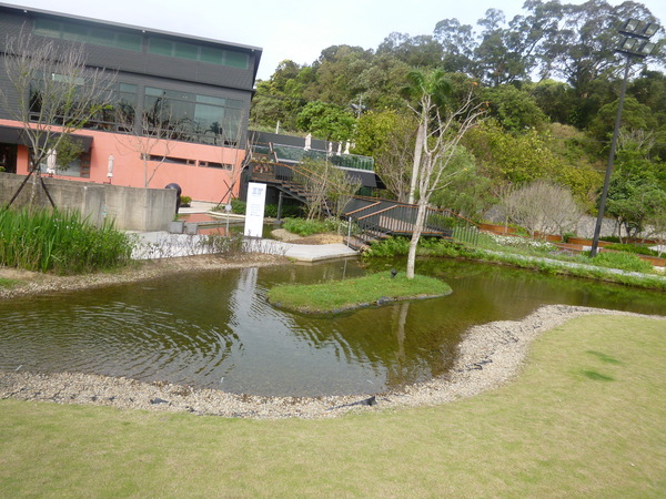 IF HOUSE: 【新竹寶山】有點悲情的下午茶,一小時後才喝得到的紅寶石-IF HOUSE