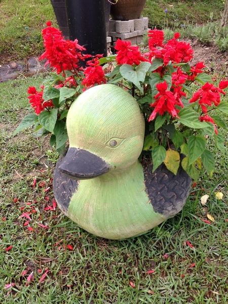 儷池咖啡屋:【口碑劵】黃色小屋的美景饗宴-儷池咖啡屋(景觀篇)