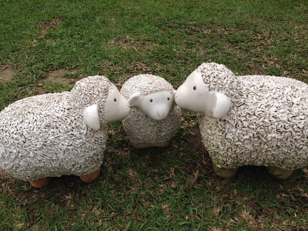 儷池咖啡屋:【口碑劵】黃色小屋的美景饗宴-儷池咖啡屋(景觀篇)