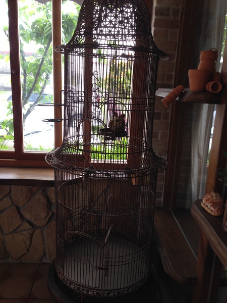 儷池咖啡屋:【口碑劵】黃色小屋的美景饗宴-儷池咖啡屋(景觀篇)