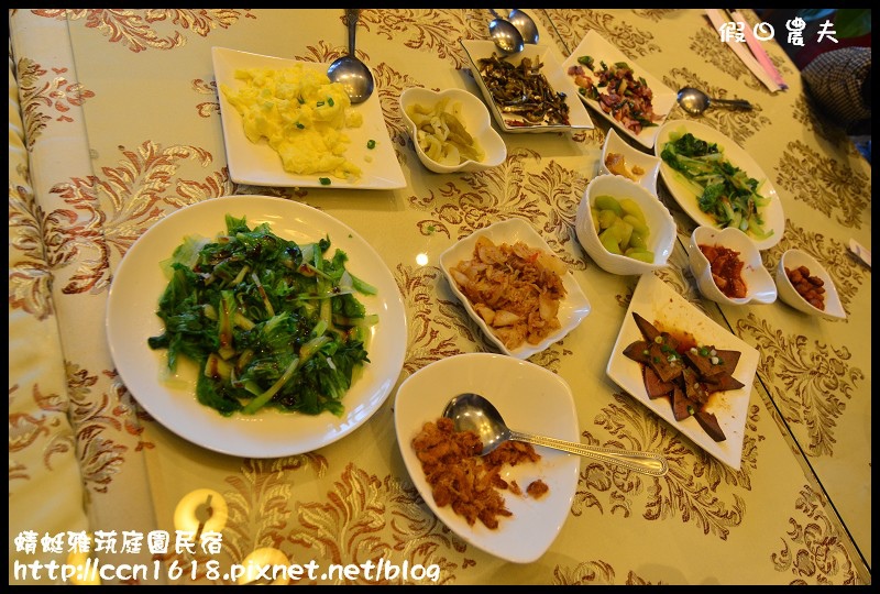 蜻蜓雅茿庭園民宿DSC_2775