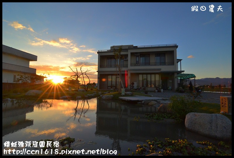 蜻蜓雅茿庭園民宿DSC_2738