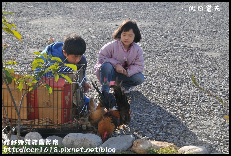 蜻蜓雅茿庭園民宿DSC_1343