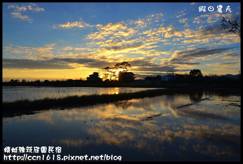 蜻蜓雅茿庭園民宿DSC_2750