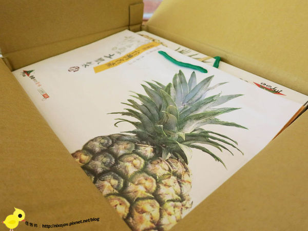 【台灣特產】山腳傳奇土鳳梨酥-伴手禮的最佳選擇